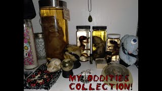 My Oddities Collection  Beginner Collector [upl. by Senzer]