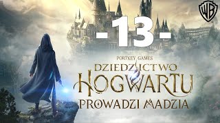 Dziedzictwo Hogwartu 13  Pokój życzeń [upl. by Adleme]