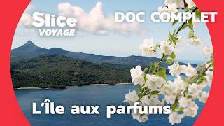 Mayotte  une beauté naturelle à préserver I WIDE [upl. by Plafker]