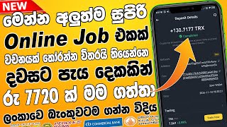 online job sinhala  online job at home sinhala  E money sinhala  salli hoyana karama online jobs [upl. by Elihu]