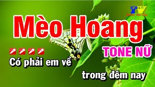 Mèo Hoang Tone Nữ Karaoke TrungVienMT Karaokenhacsong [upl. by Trescott]