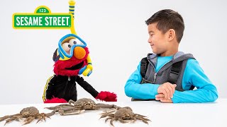 Sesame Street Elmo and Kids Meet a Marine Biologist featuring hihokids [upl. by Hardan275]