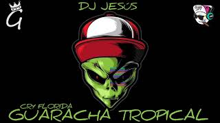 DJ JESÚS  TEMA CRY FLORIDA ❌ ALETEO ZAPATEO 💥 GUARACHA TROPICAL 😈 [upl. by Stier]