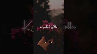 Anbae Enthan Kaadhal Solla 💫🩵song lyrics in Tamil WhatsApp status shorts trending lovestatus [upl. by Kusin]