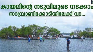 കായലിന്റെ നടുവിലൂടൈ നടക്കം വരൂ സാംബ്രാണി കോടിയിലേക്ക് sambranikodi Island  kollam [upl. by Odin]