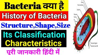 What is Bacteria Bacteria History Characteristics Bacterial Classification Bacteria Shape ampsize [upl. by Yerffej245]