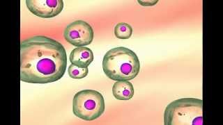 Carcinogenesis The transformation of normal cells to cancer cells [upl. by Eselahc]