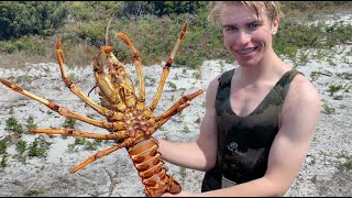 Crayfish Diving the North East of Tasmania [upl. by Augy]