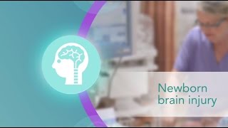 Natus Newborn Care Newborn Brain Injury [upl. by Ecirrehs]