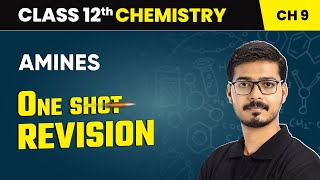 Amines  One Shot Revision  Class 12 Chemistry Chapter 9  CBSE 202425 oneshot [upl. by Adile]