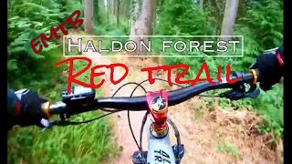 Haldon forest Red trail MTB [upl. by Silliw489]