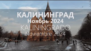 Kaliningrado Noviembre 2024 [upl. by Drarreg]