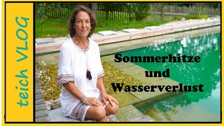 Unser Schwimmteich im Sommer Wie wir trotz Verdunstung für klares Wasser sorgen [upl. by Auqinet]