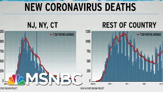 Dire US COVID19 Death Rate Seen In Graph Excluding NY NJ CT  Rachel Maddow  MSNBC [upl. by Esinel107]