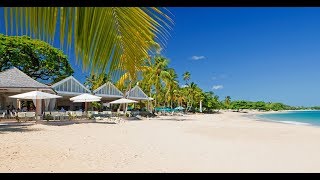 AdultsOnly AllInclusive Resorts in the Caribbean  Jetsettercom [upl. by Ivett]