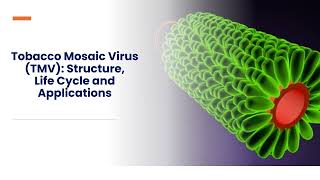 Tobacco Mosaic Virus TMV Structure Life Cycle and Applications [upl. by Fulvia199]