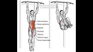 Hanging leg Rais hanging leg raises can increase core strength by engaging your abdominal muscles [upl. by Cilka]