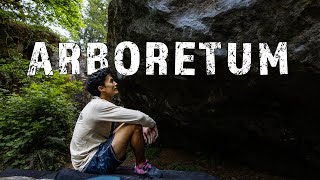 ARBORETUM V11  4 Years in the Making Bouldering Documentary [upl. by Dabney799]