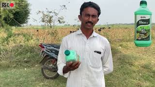 UPLGlobal Gainexa Orthosilicic acid used farmer best feedback in maize crop Telugu [upl. by Emilia]