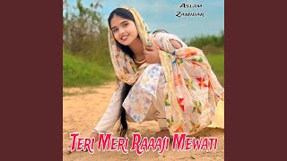 Teri Meri Raaaji Mewati [upl. by Merissa]