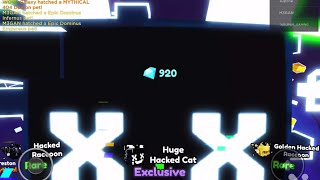 I HATCHED A HUGE HACKED CAT [upl. by Edbert236]