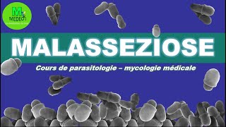 MALASSEZIOSE cours de parasitologiemycologie [upl. by Rooker397]