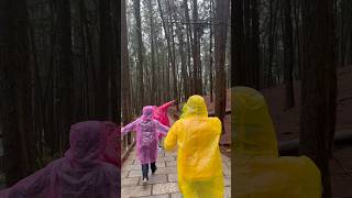 Exploring pine forest pineforest vagamon vacation friends fun ytshorts [upl. by Viviyan]