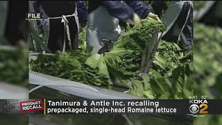 Romaine Lettuce Recall [upl. by Acinorrev]