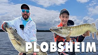 SILURES et BROCHETS pour ma PREMIÈRE SORTIE en BATEAU à PLOBSHEIM avec nemfishing1218 [upl. by Gray]