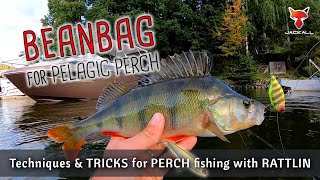 BEANBAG for summer PERCH  Rattlin fishing from belly boat in deep lake  Tips amp tricks for perch [upl. by Adilem809]