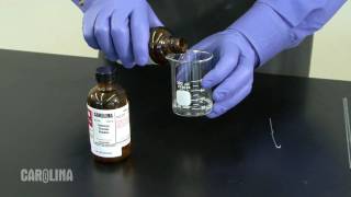 Nylon Synthesis Chemistry Demo [upl. by Galina413]