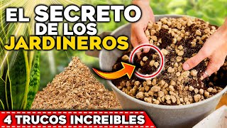 Los JARDINEROS y VIVEROS NO QUIEREN que SEPAS ESTO  4 SECRETOS para CUIDAR tus PLANTAS y FLORES [upl. by Dedrick]