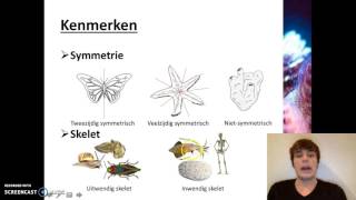 Ordening  Het rijk van de dieren [upl. by Peterman547]