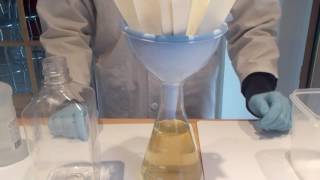 Extraction de lalginate pour fabriquer un bioplastique [upl. by Vernon]