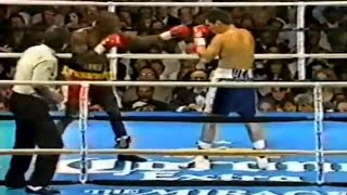 WOW WHAT A KNOCKOUT  Julio Cesar Chavez vs Terrence Alli Full HD Highlights [upl. by Iztim]