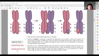 Clase de Biología Entrecruzamiento genético [upl. by Thomajan]