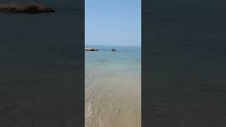 Agonda beachagonda sea beachsouth goaagondagoasouth goa best beach agonda goa goabeach [upl. by Seyah]