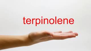 How to Pronounce terpinolene  American English [upl. by Onairda585]