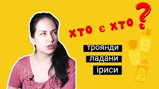 Сліпі затести осінньої ніші 👀 [upl. by Knah]