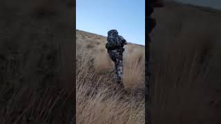 Our Idaho Elk hunt success hardwork hunting [upl. by Acihsay]