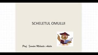 SCHELETUL OMULUI [upl. by Attenohs]