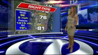 WSVN Weather Julie Durda tight grey dress 6212011 [upl. by Aihsema]