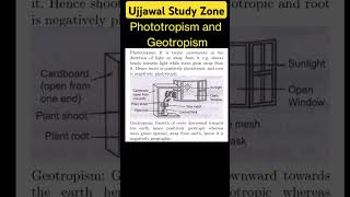 Phototropism and Geotropism ujjawalstudyzone motivation cbse [upl. by Damara474]