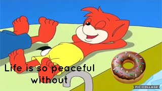 Life Is So Peaceful Without Donuts [upl. by Rosalee]