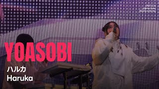 4K YOASOBI  ハルカHaruka 요아소비 내한공연 YOASOBI Live In Seoul 2023 [upl. by Nahtannhoj]