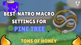 The BEST Natro Macro Settings for Pine Tree Field Lots of honey [upl. by Anifur]