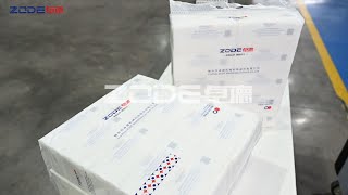 ZDC30 Facial Tissue Bundling Packing Machine [upl. by Yesdnyl]