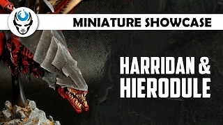 HARRIDAN amp HIERODULE  LVL 3 MINIATURE SHOWCASE 4K [upl. by Rimaa238]