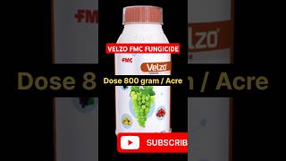 Velzo fungicide  FMC Velzo fungicide  velzo fmc fungicide  velzo [upl. by Rab557]