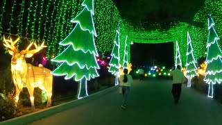 😀😀THE 2023 LOS ANGELES ZOO CHRISTMAS LIGHTS ANIMALS AGLOWS 4K [upl. by Eatnuahc]